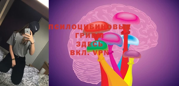 спиды Армянск