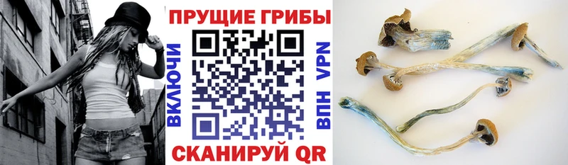 Псилоцибиновые грибы ЛСД Тейково